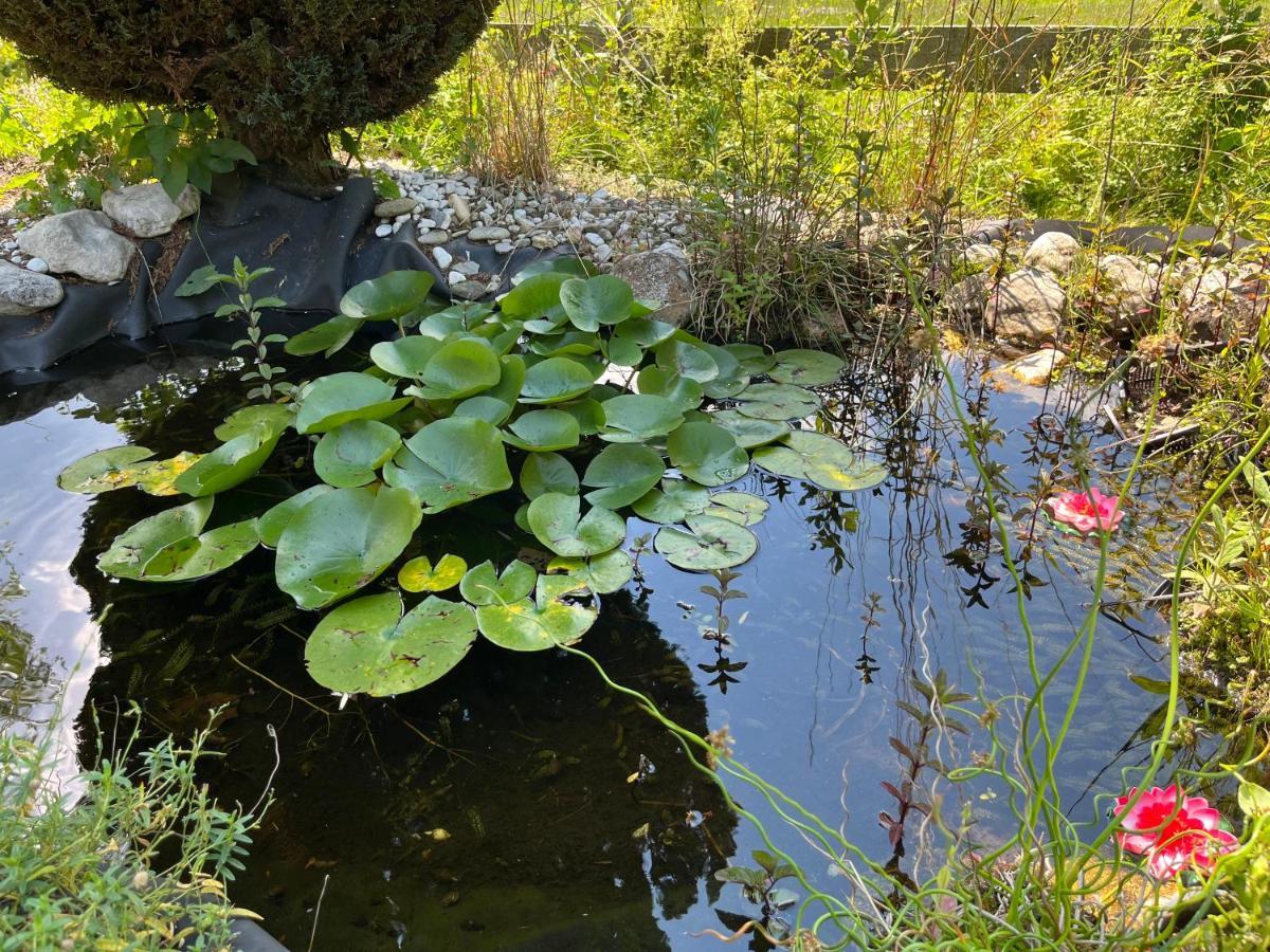 Ferienwohnung Schwanensee Lenzing المظهر الخارجي الصورة